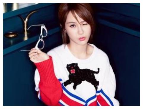 杨紫家世爆料视频播放大全,独家视频播放大全深度解析  第1张