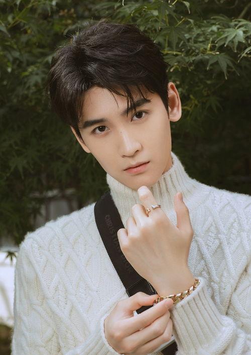 夏之光黄俊捷圈内人爆料,真实事件背后的惊人内幕  第2张